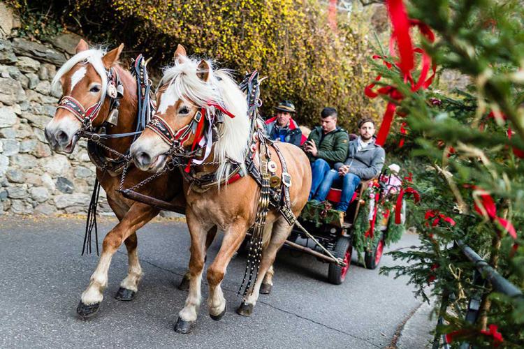 Horse cart ride to the Castle Advent