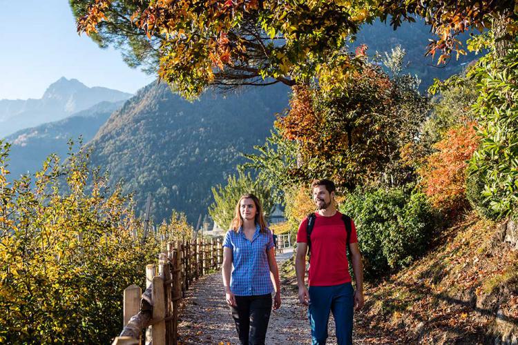 Autumn-walks in Dorf Tirol