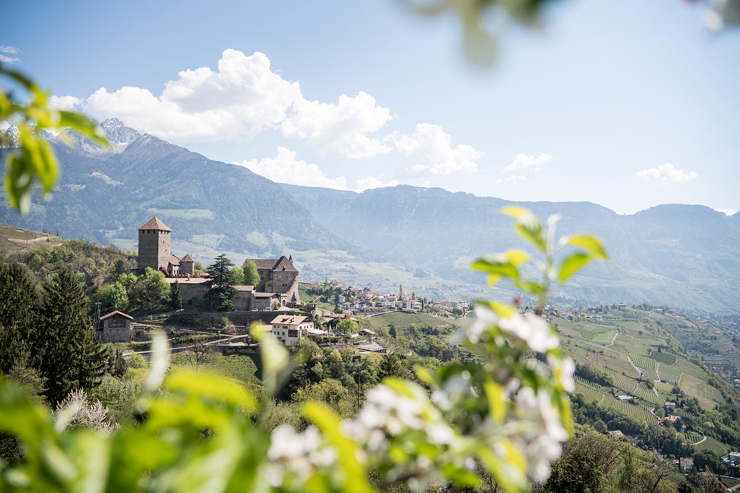 Spring at Castle Tirol